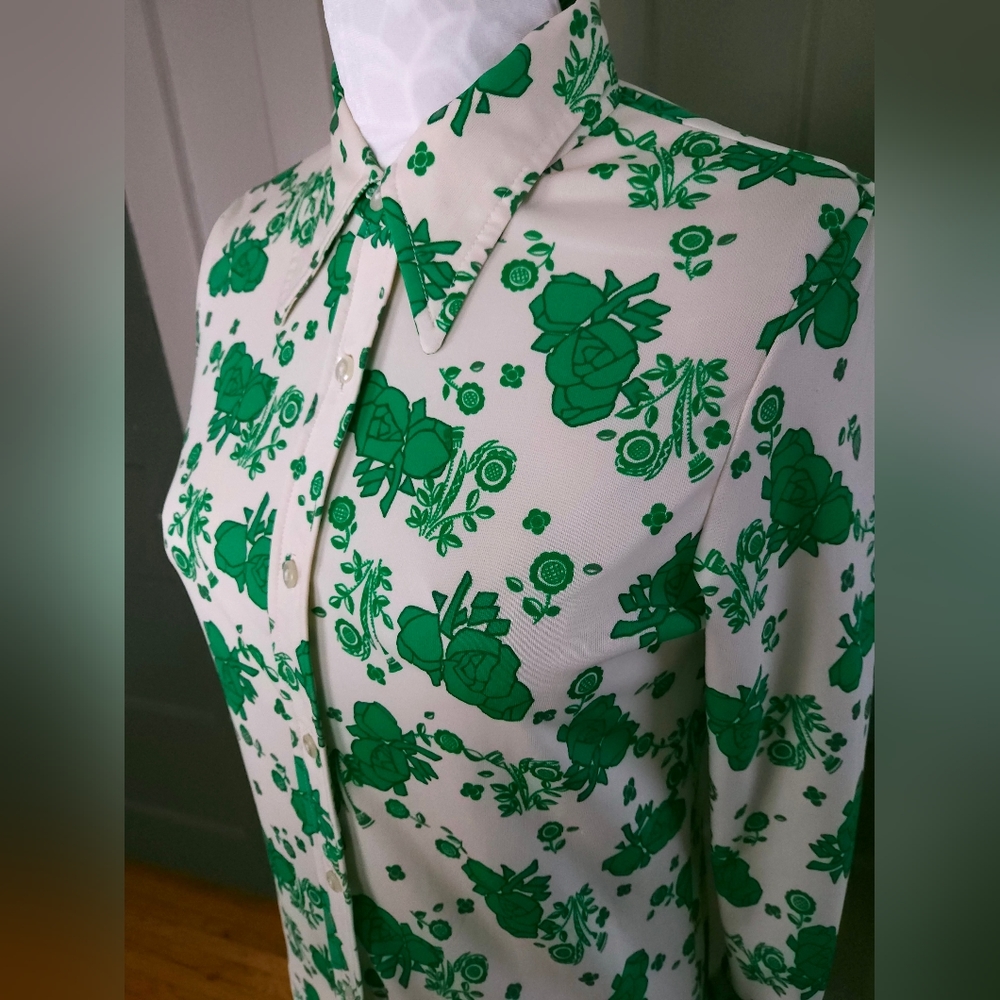 Alex Colman California Vintage 70s Point Collar Flowy Top Green Cream Small - Picture 2 of 16